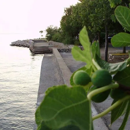 Jurica * Starigrad Paklenica